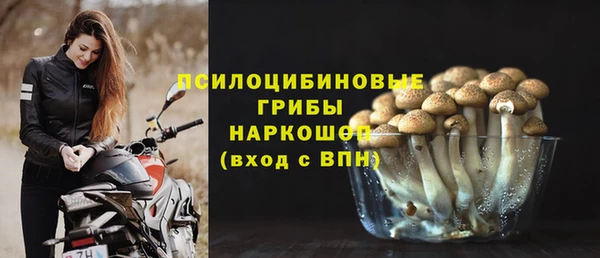 трава Белокуриха