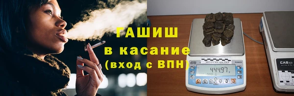 трава Белокуриха