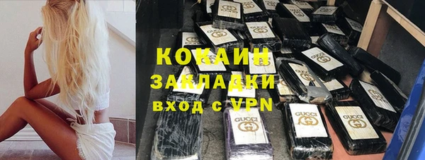 трава Белокуриха